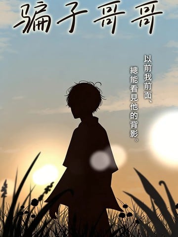 骗子哥哥海报