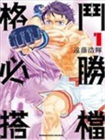 格斗必胜搭档海报
