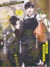 湾野君的黑道家政夫日记海报