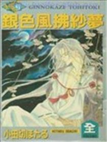 银色风拂纱梦海报