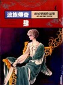 波族传奇海报