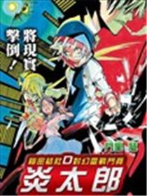 秘密结社D对幻灵战斗员 炎太郎海报