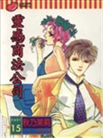 灵感商法公司海报