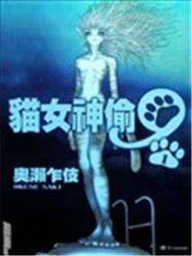 猫女神偷9海报