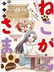 六条一间的猫神大人海报