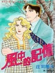 风中的记忆海报