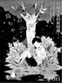 我那小小的鸟儿海报