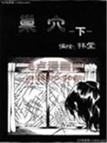 巢穴海报