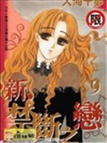新禁断之恋海报