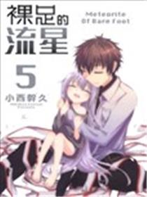 裸足的流星海报