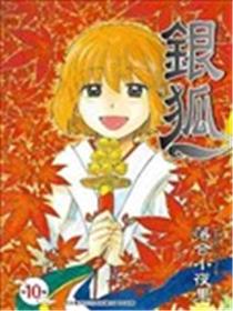 银狐海报
