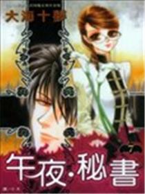 午夜·秘书海报