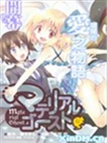 物质幽灵海报