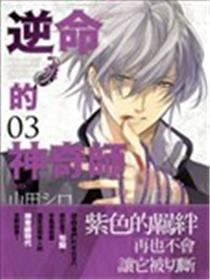 逆命的神奇师海报