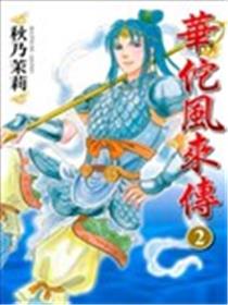 华佗风来传海报