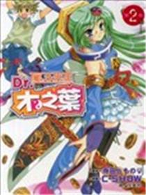 风水先生Dr木之叶海报