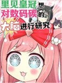 里见皇冠想对数码碳的大脑进行研究海报