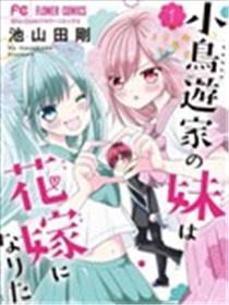 小鸟游家的妹妹想要成为新娘！！海报