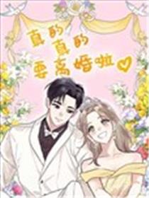 真的真的要离婚啦海报