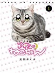 今夜是猫咪酱海报