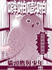 猫头鹰与少年海报