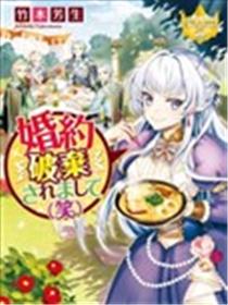 被废除婚约了（笑）海报