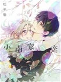 情至小南家海报