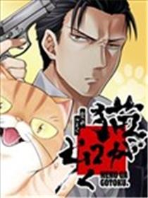 如猫海报
