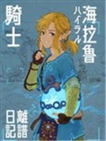海拉鲁骑士离谱日记海报