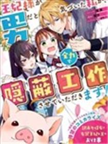 当发现王妃大人是男人之后、我开始全力协助隐瞒工作海报