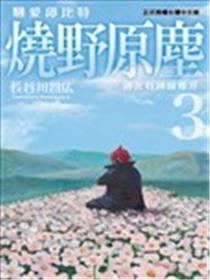 恋爱邱比特 烧野原尘海报