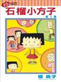 石榴小方子海报