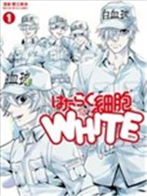 工作细胞WHITE海报