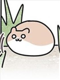 地球的主人是猫喵海报