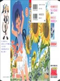 天降小妹海报