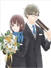 Marriage Maker海报