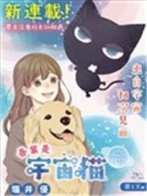 吾辈是宇宙猫海报