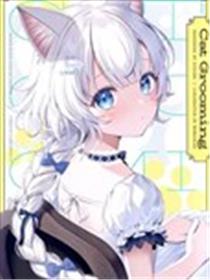 (C102)Cat Grooming海报