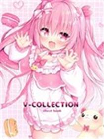 (C100)V-COLLECTION illust book海报