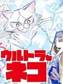 奥特猫猫海报