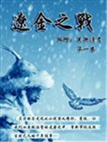 辽金之战海报